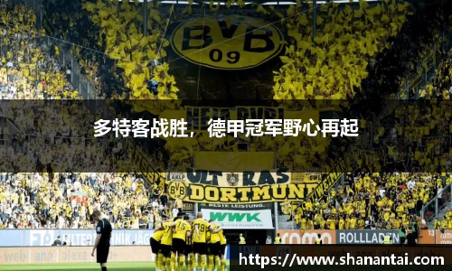 zoty中欧体育