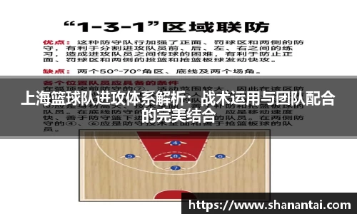 zoty中欧体育
